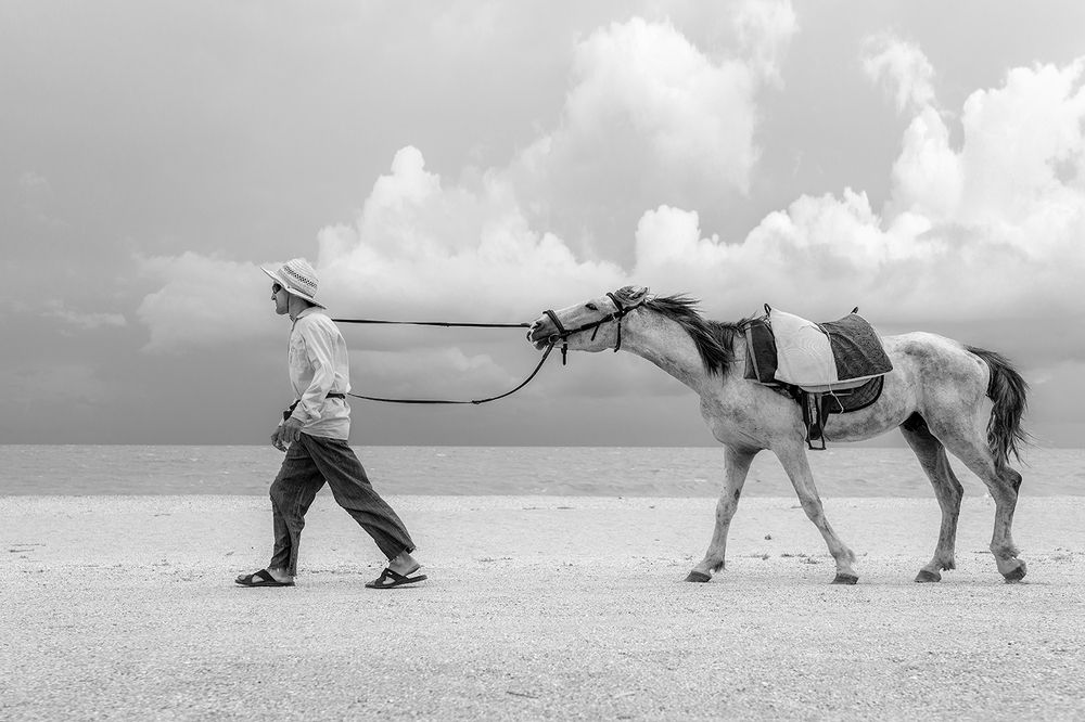 Photograph by Михаил Потапов