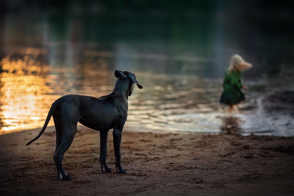 Лучшие друзья