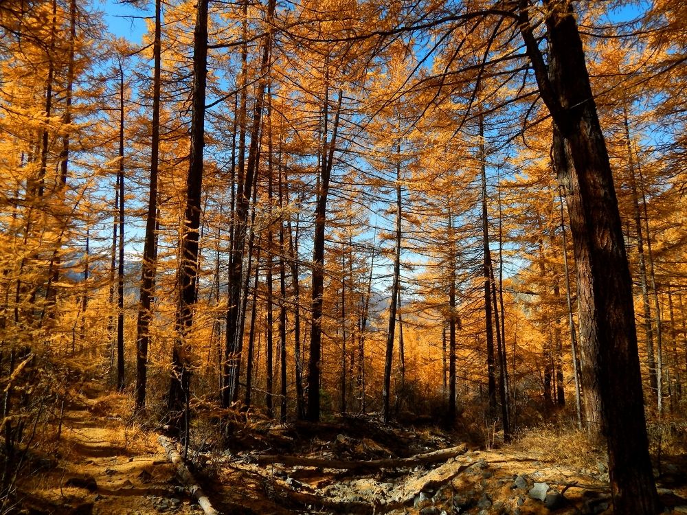 Photograph by Анастасия