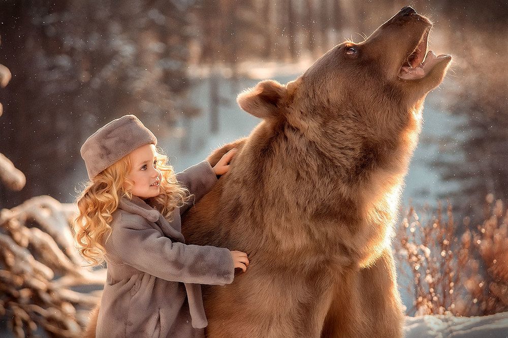 Виола и медведь