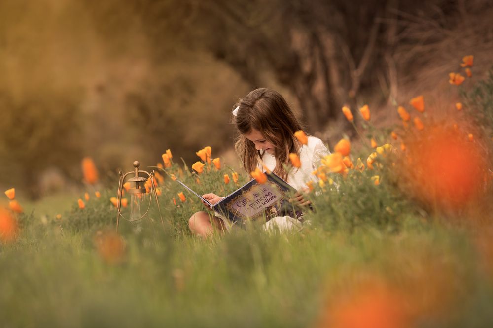 Reading gives dreams