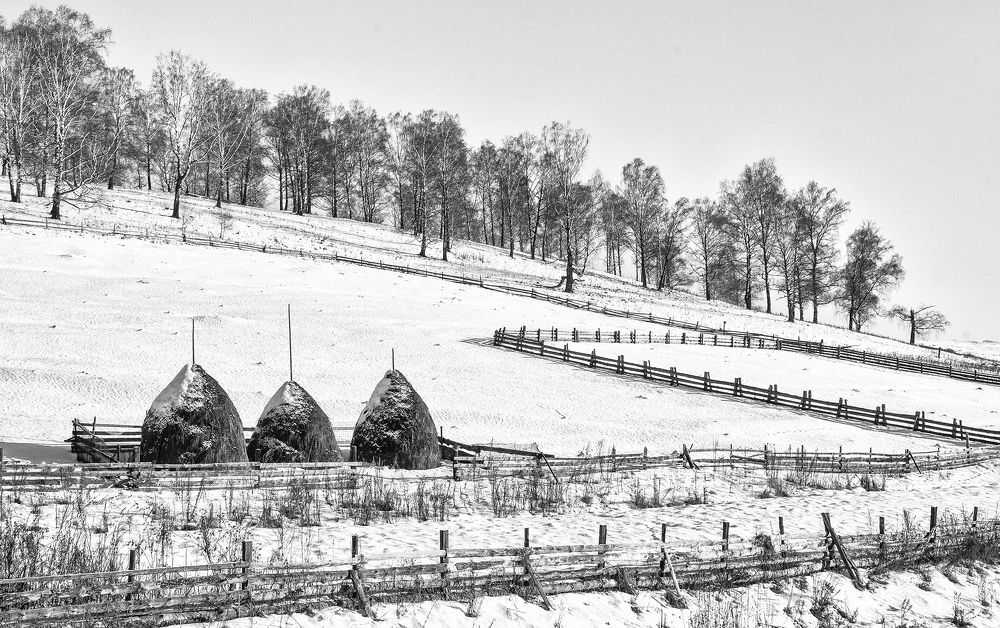 Зимняя графика