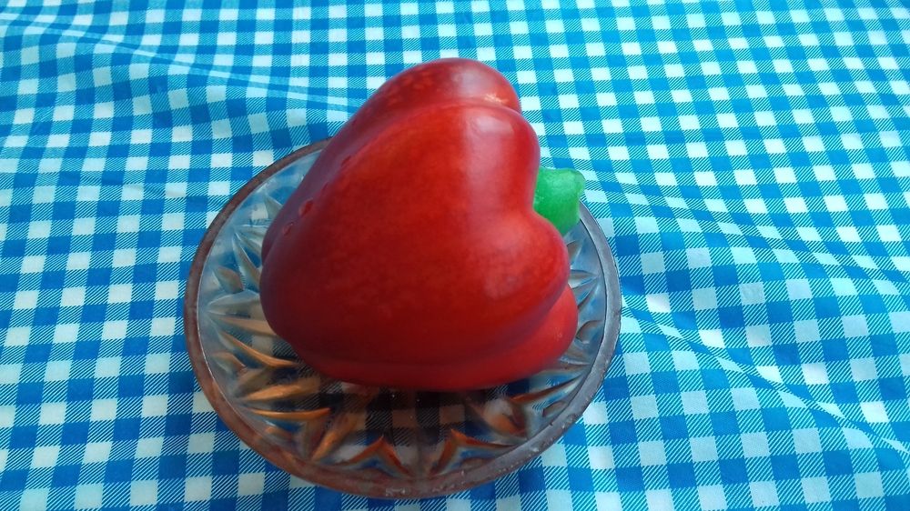 Photograph by 