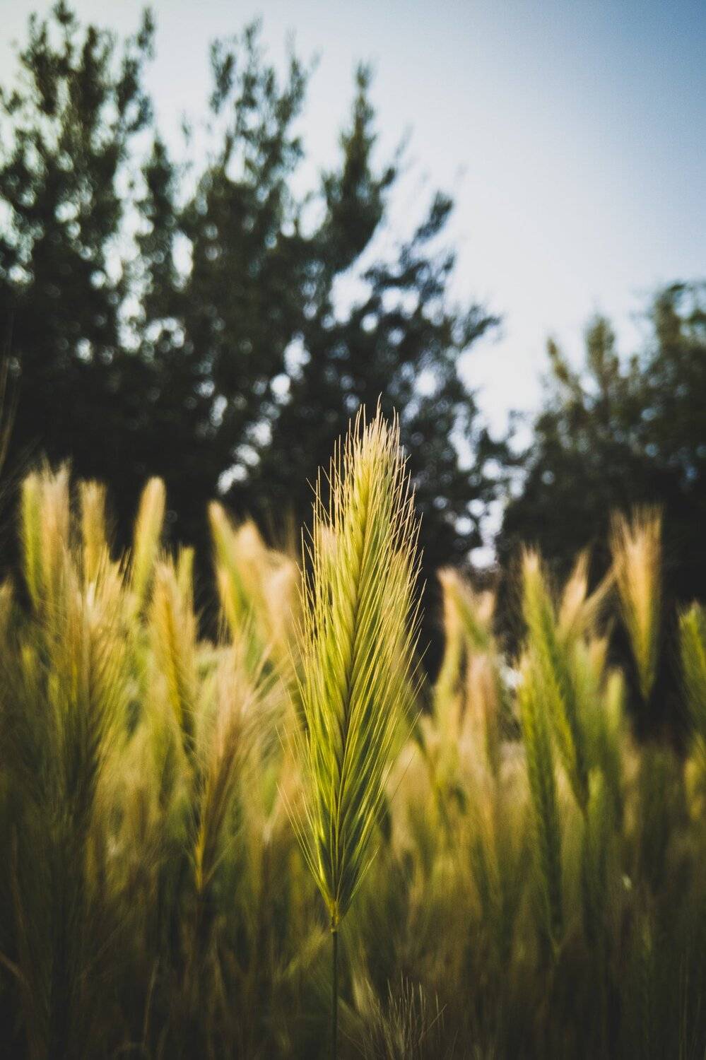 One Day In Nature