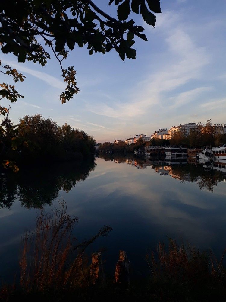 Город и река