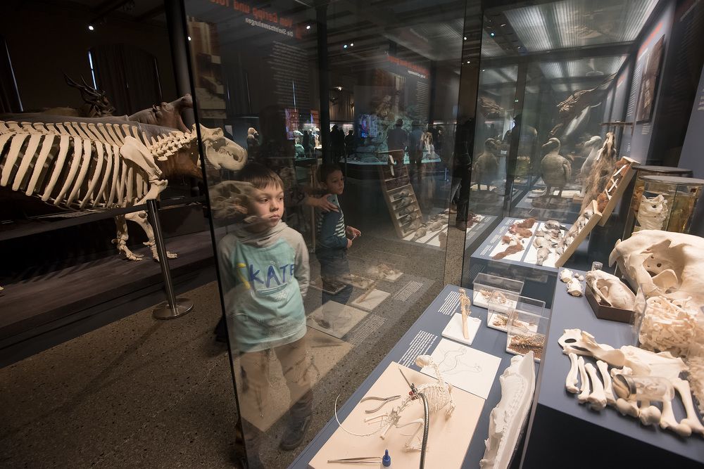 Былое и думы