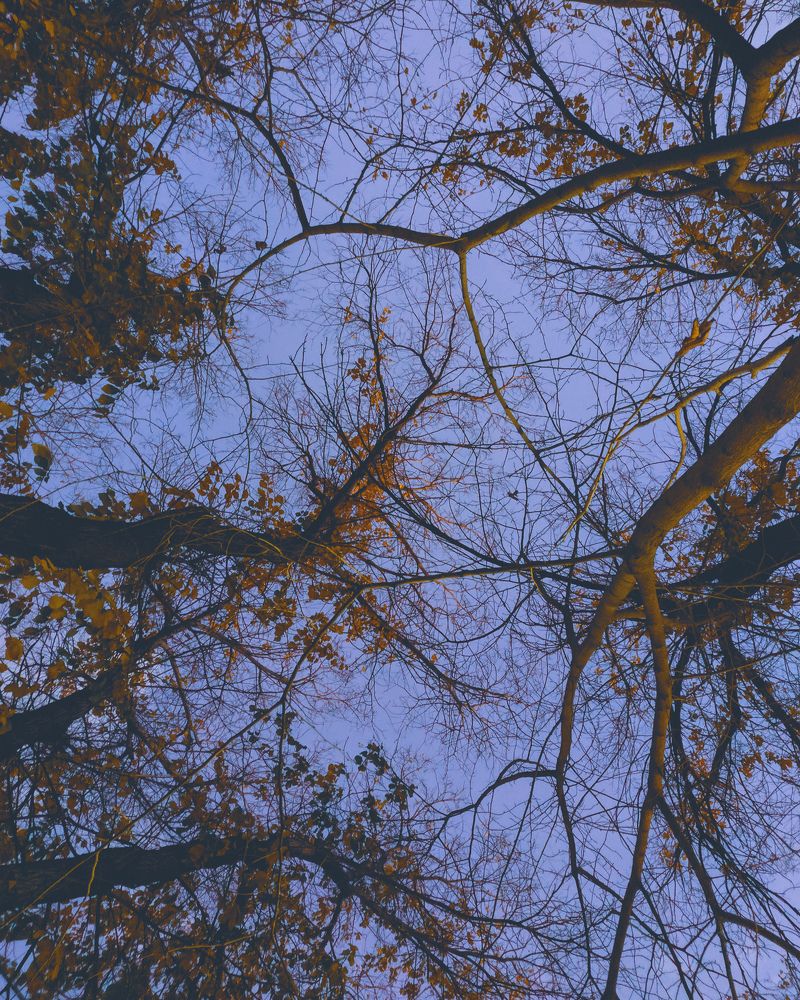 Another Day In Nature