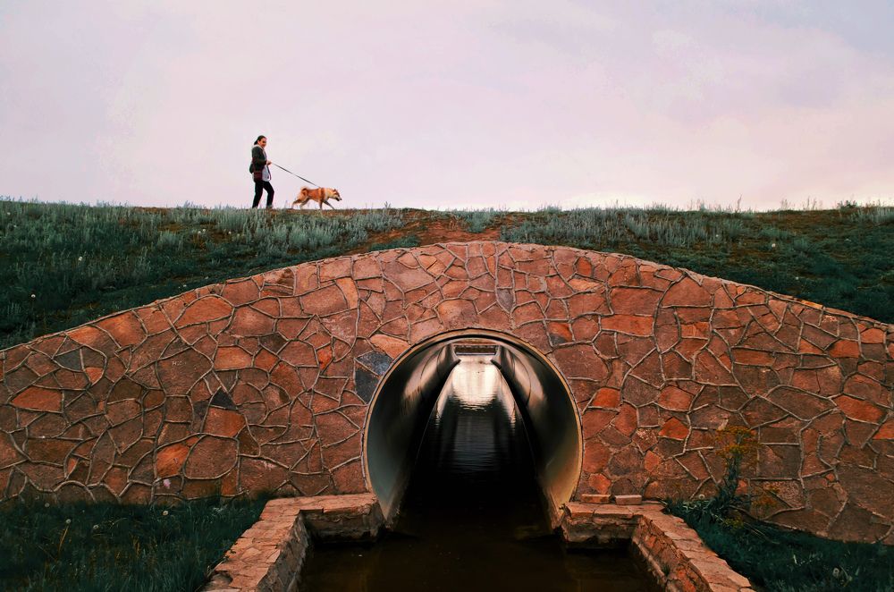 На прогулке.