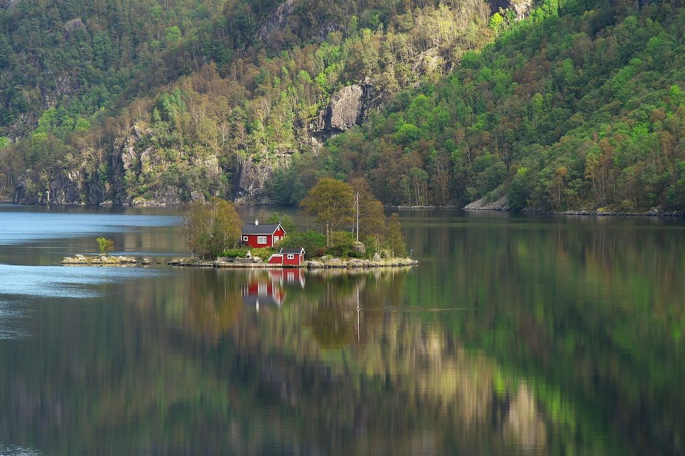 Мечта интроверта