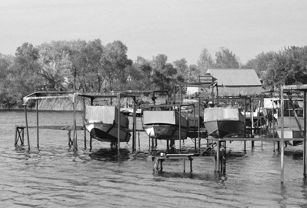 В своих снах мы все умеем летать.