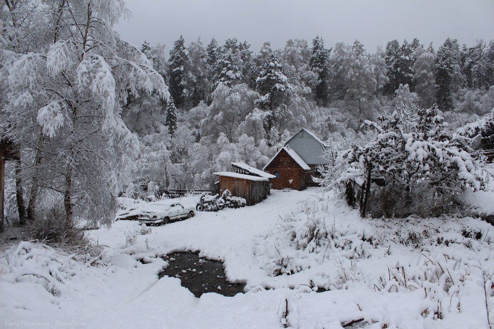 Тишина снежных покоев.