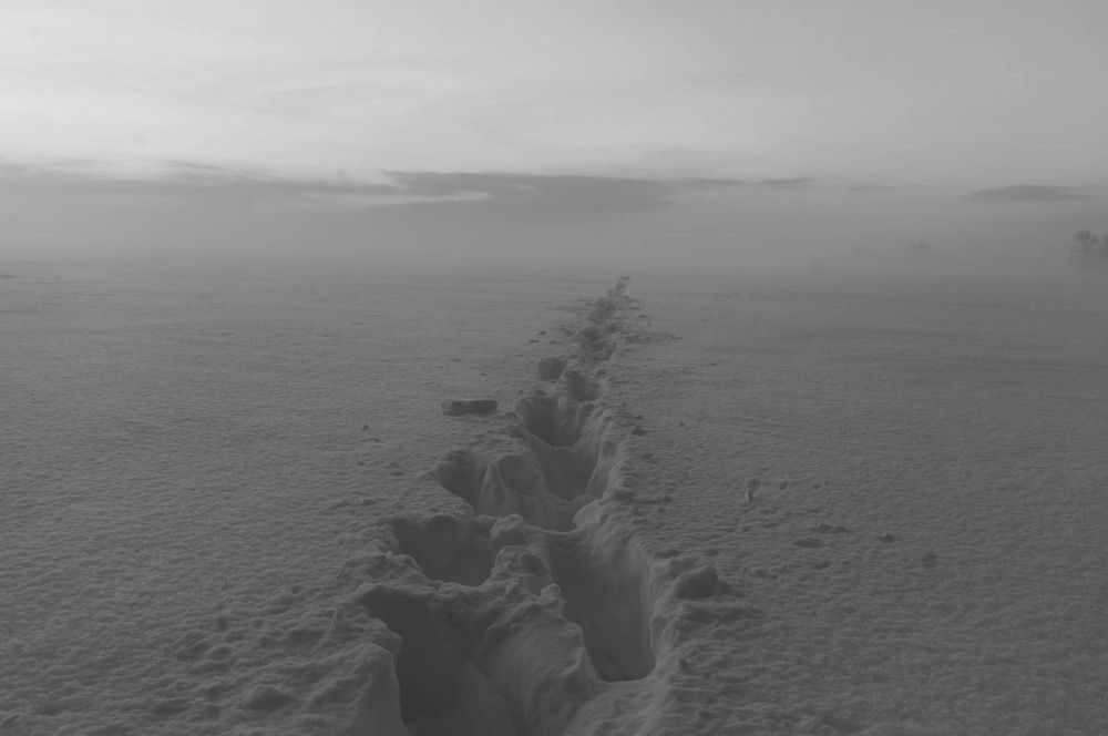 Photograph by Юрий Москалев