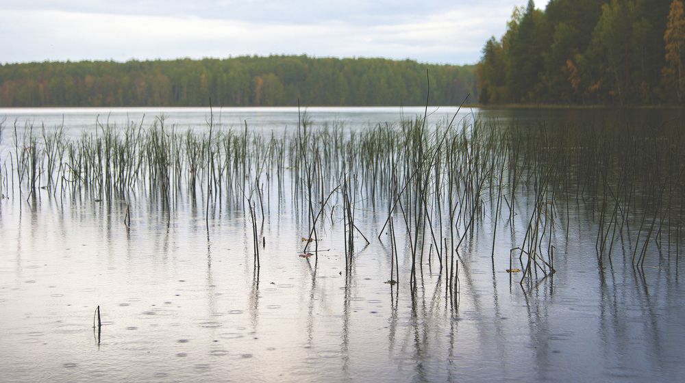 "Ощущение спокойствия"