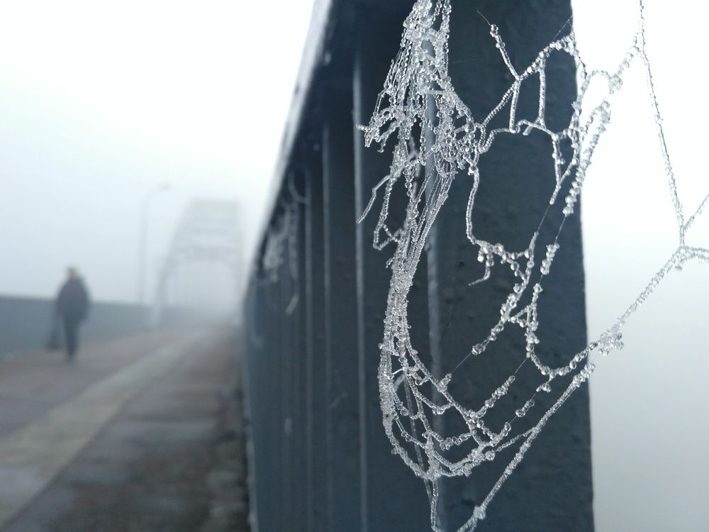 Ноябрьское кино