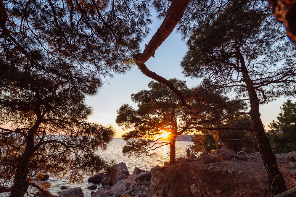 Photograph by Олег