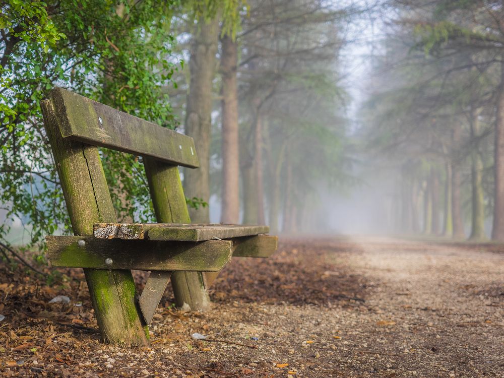 Утро туманное.