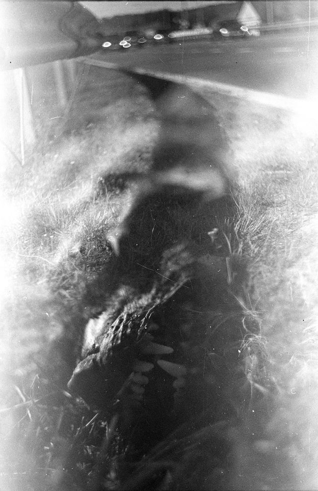 Рвется наружу мой загнанный зверь