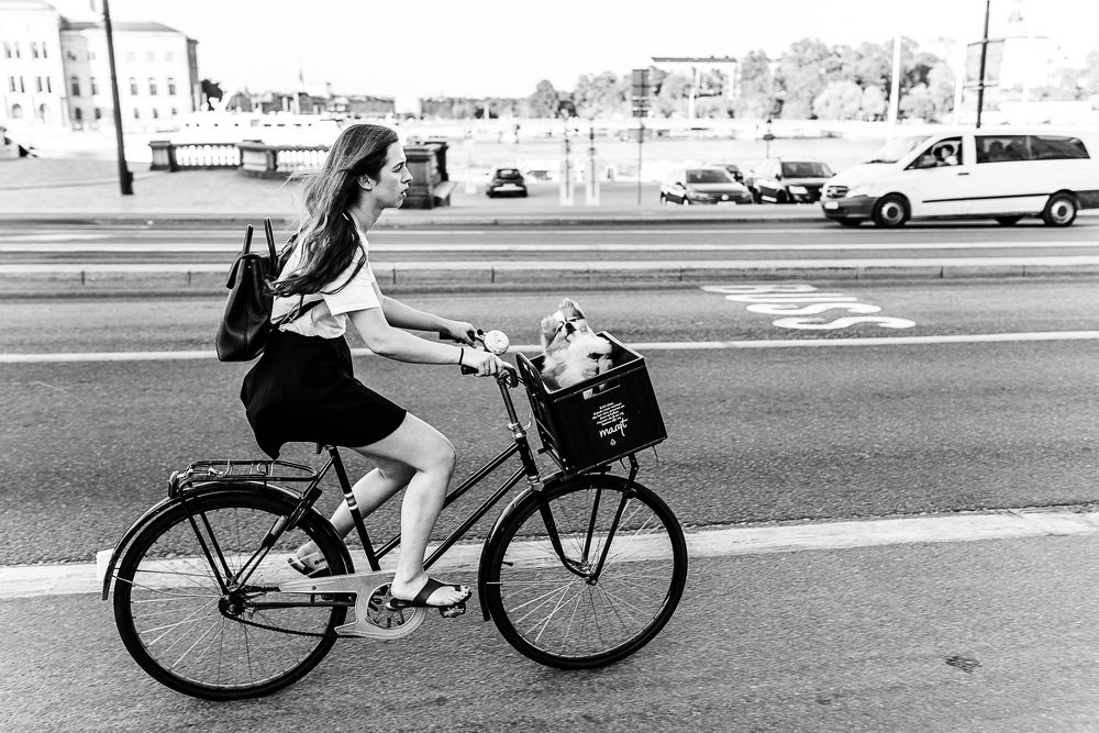 Городские покатушки