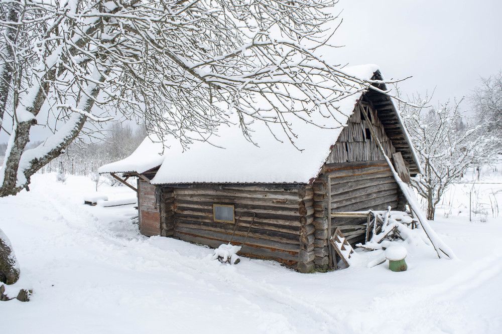 Деревенские эскизы