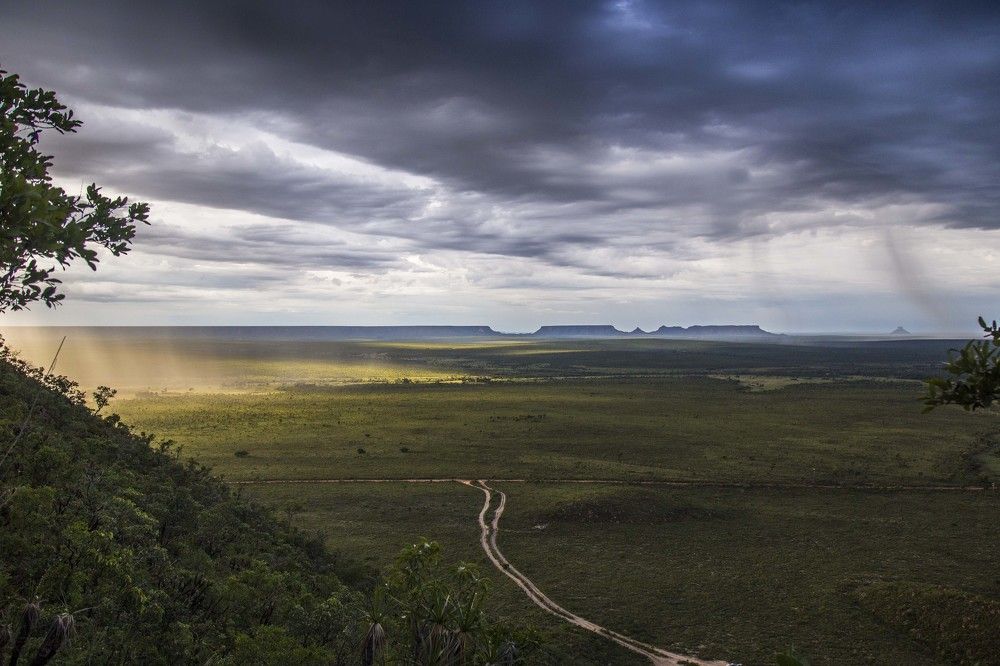 Pro dia nascer feliz