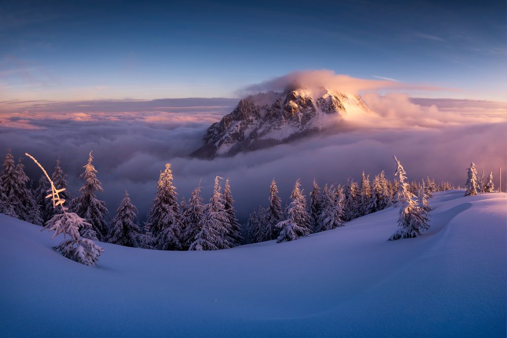 Morning Impressions II