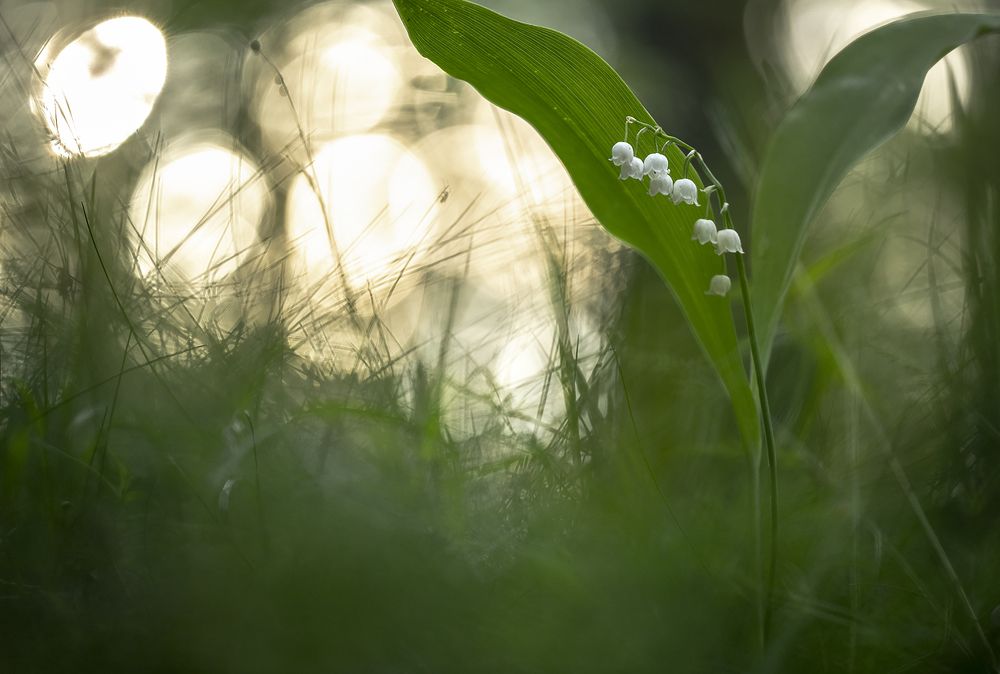Photograph by Александр Иванов