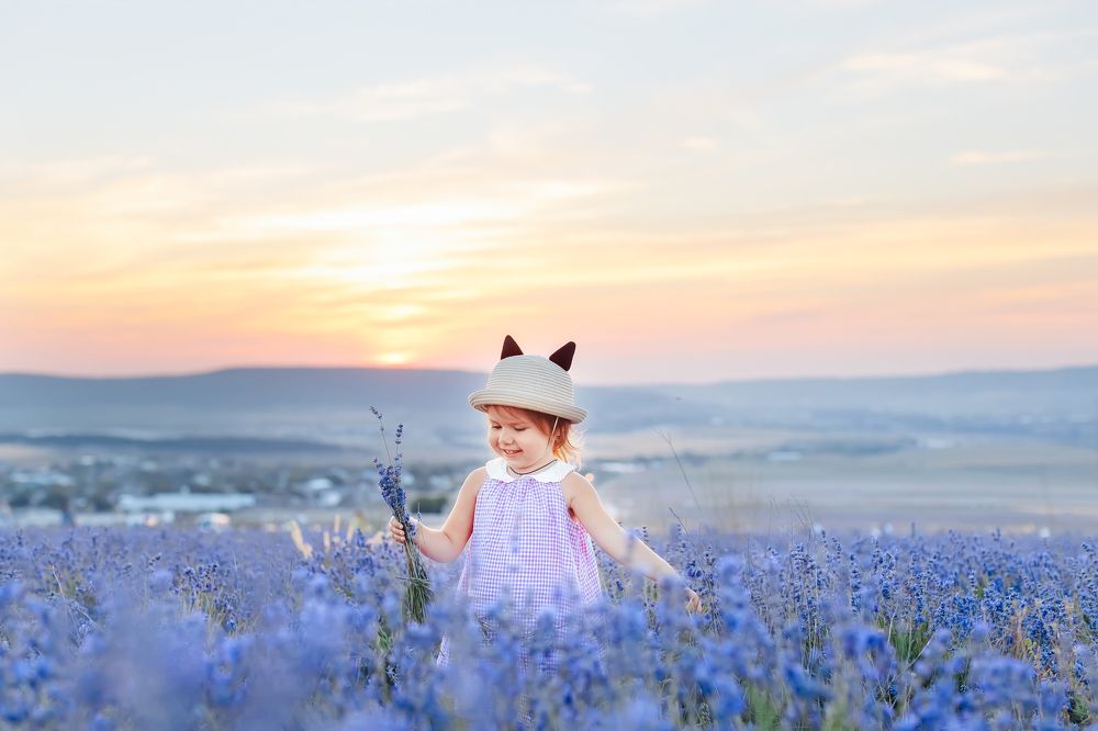 Летние поля