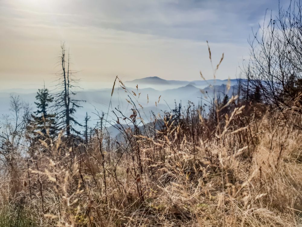 Cozia mountains fog and sky