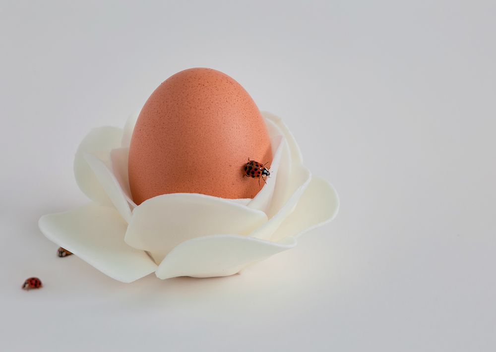 Маленькие путешественники.