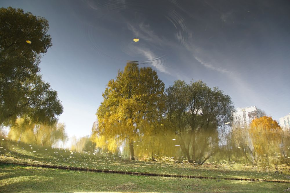 Лист осенний