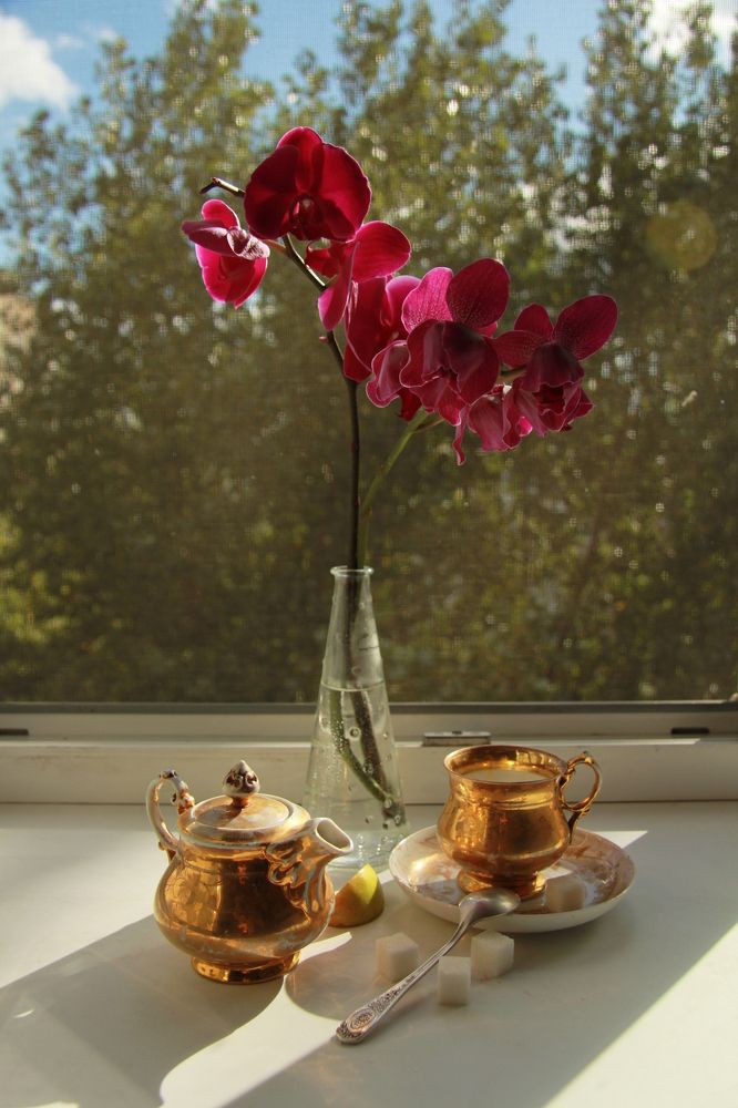 Photograph by Алена Родионова