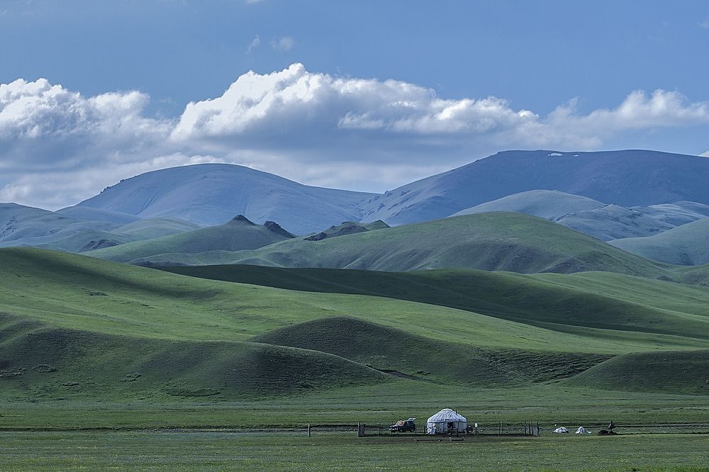 Родные просторы