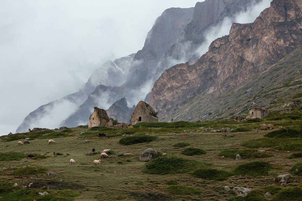 Дань предкам