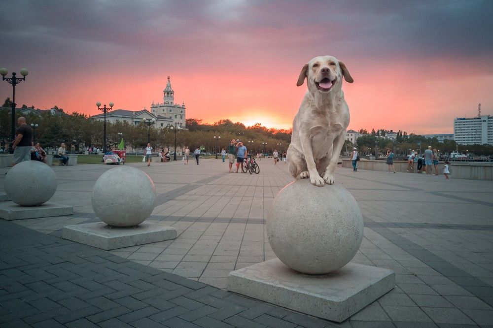 Девочка на шаре