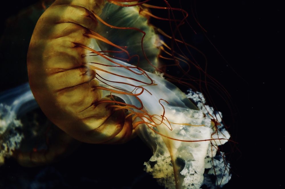 Photograph by Майя