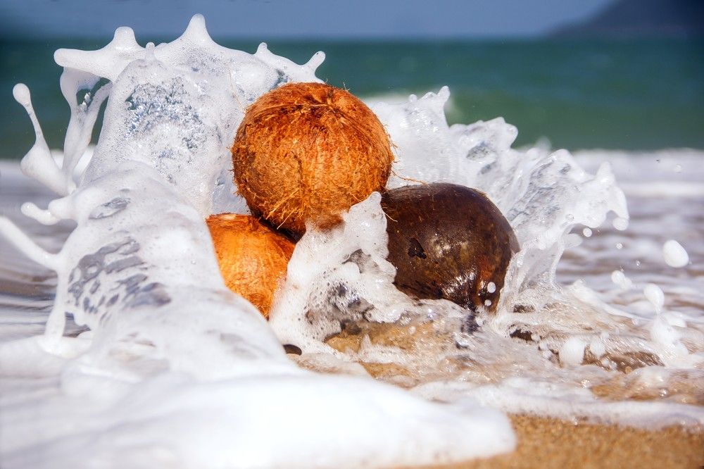 Обманчивая нежность