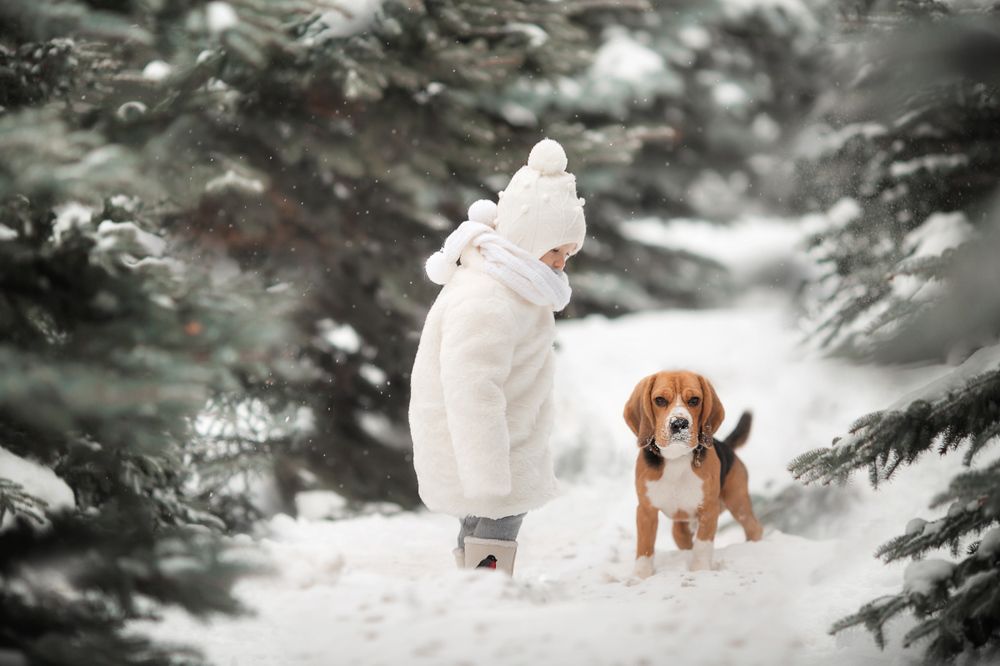 Машенька и Мишка