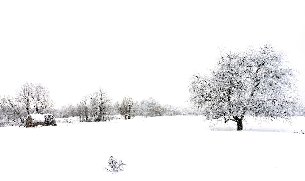 Photograph by Игорь Кляхин