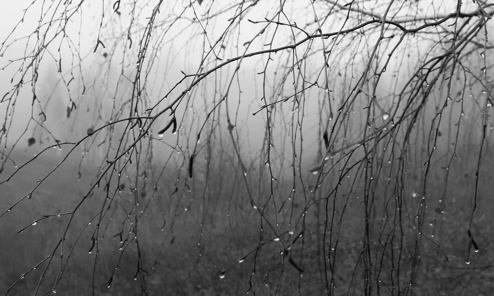 Photograph by Игорь Кляхин