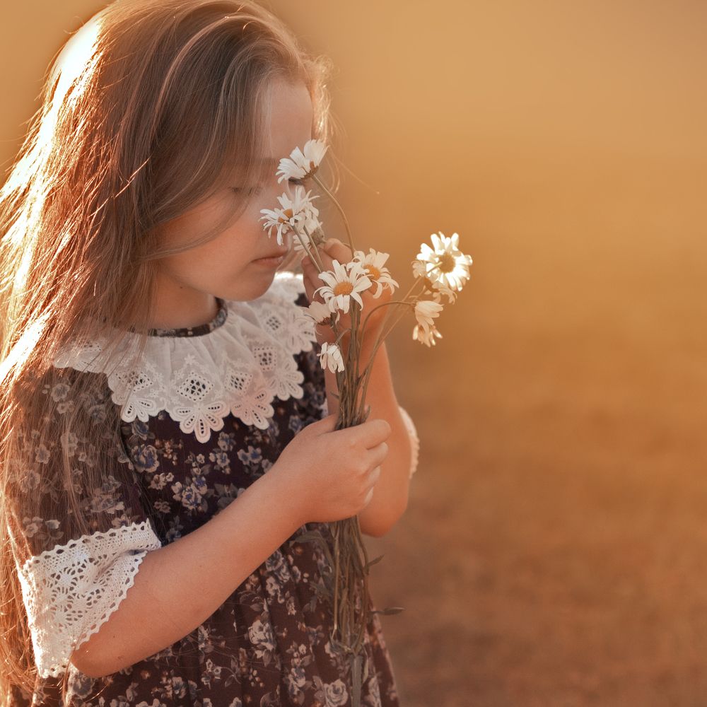 Ромашковое настроение