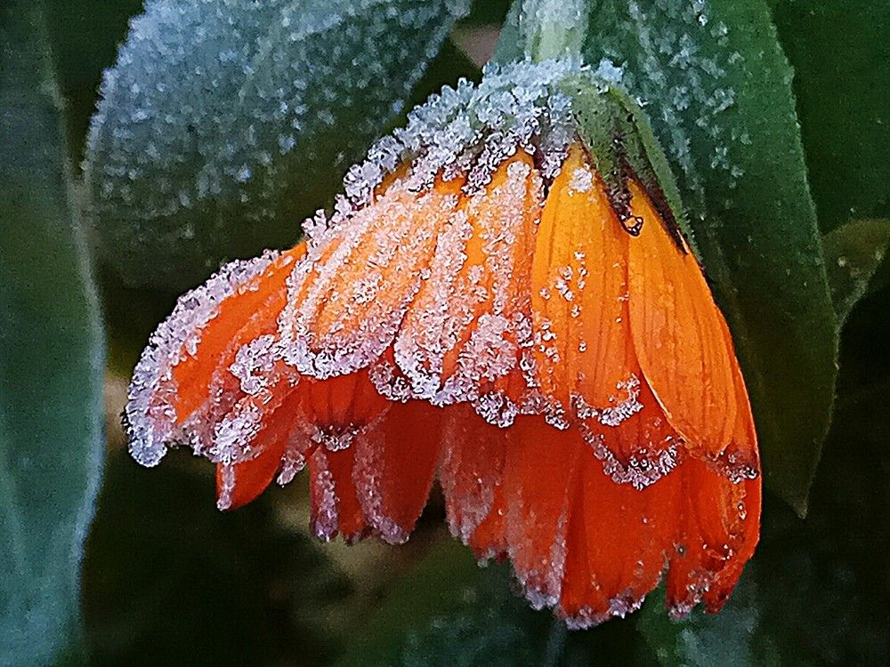 Мороз - нам не помеха. Зима все никак не отступает.