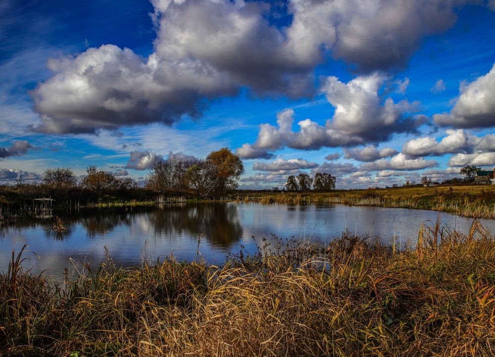 Осень в поле...
