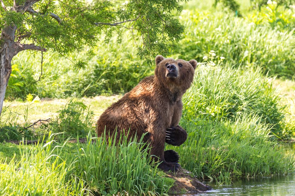 голосуй за меня