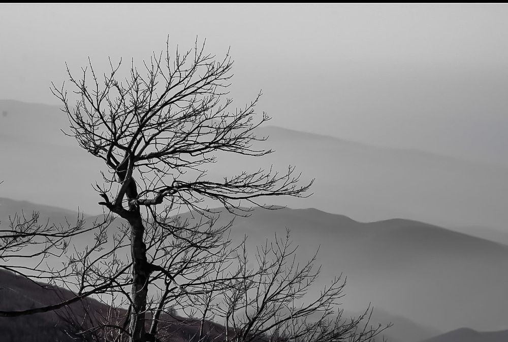 top of the mountain.