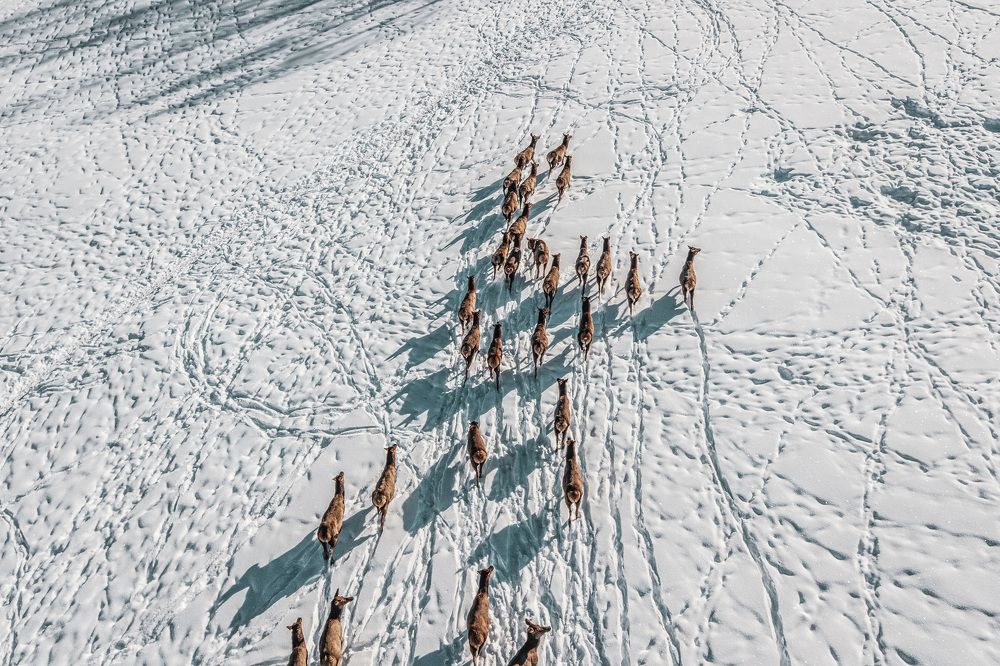 Photograph by Иоанн Степанченко