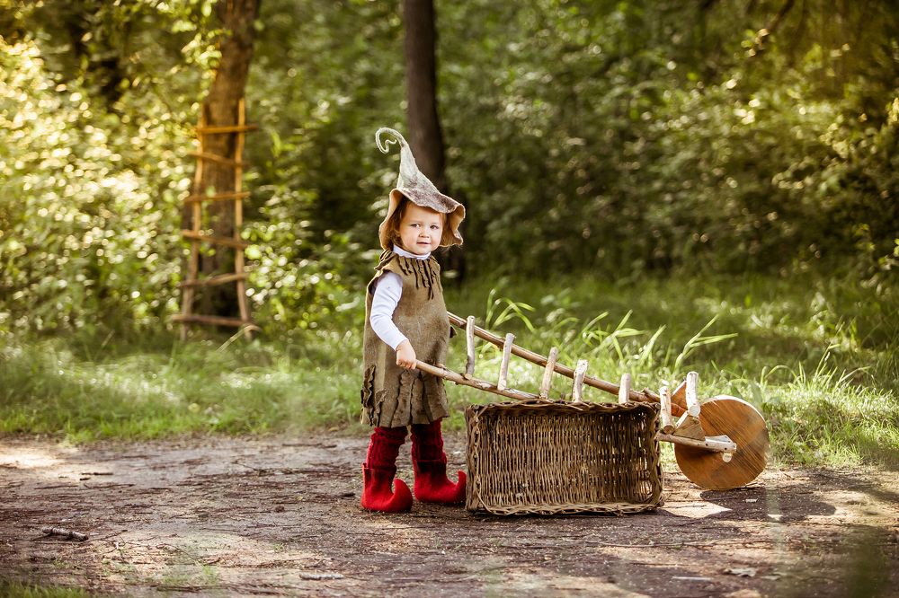 Лесной житель