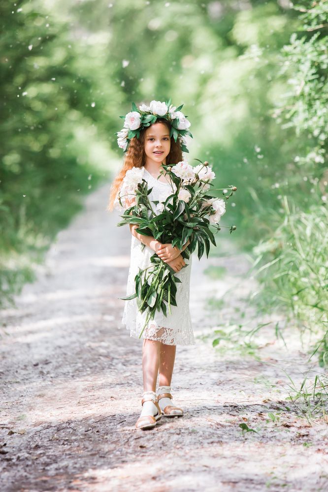 Цветение пионов