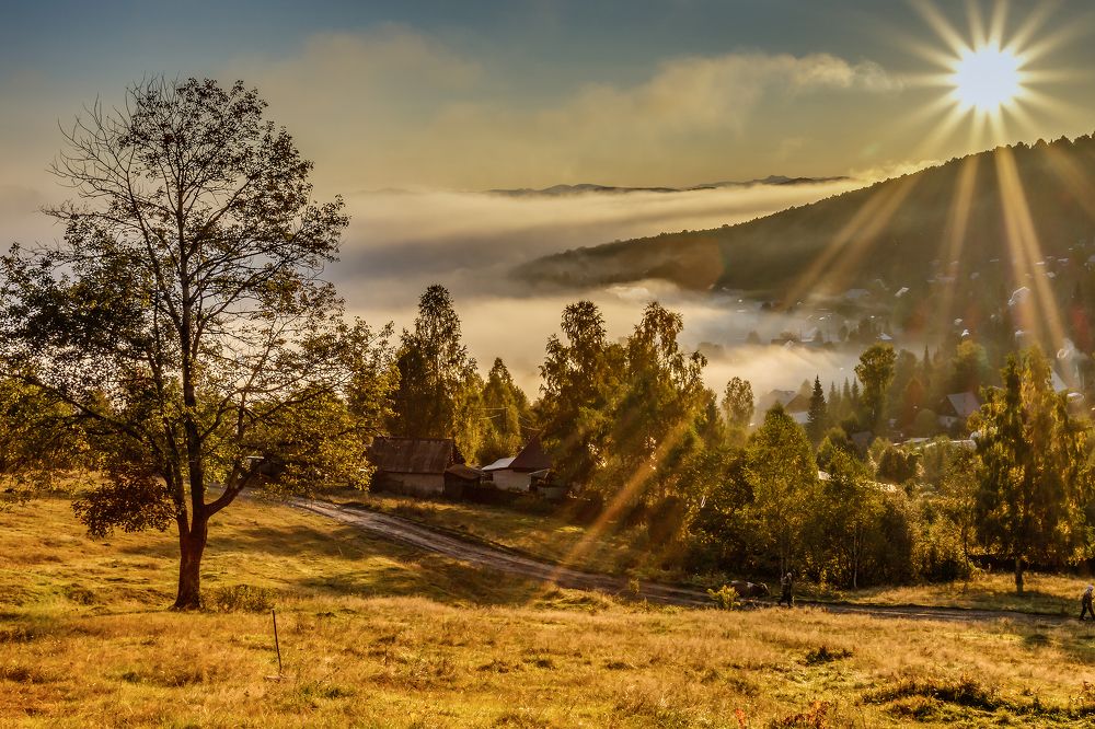 Осеннее утро.