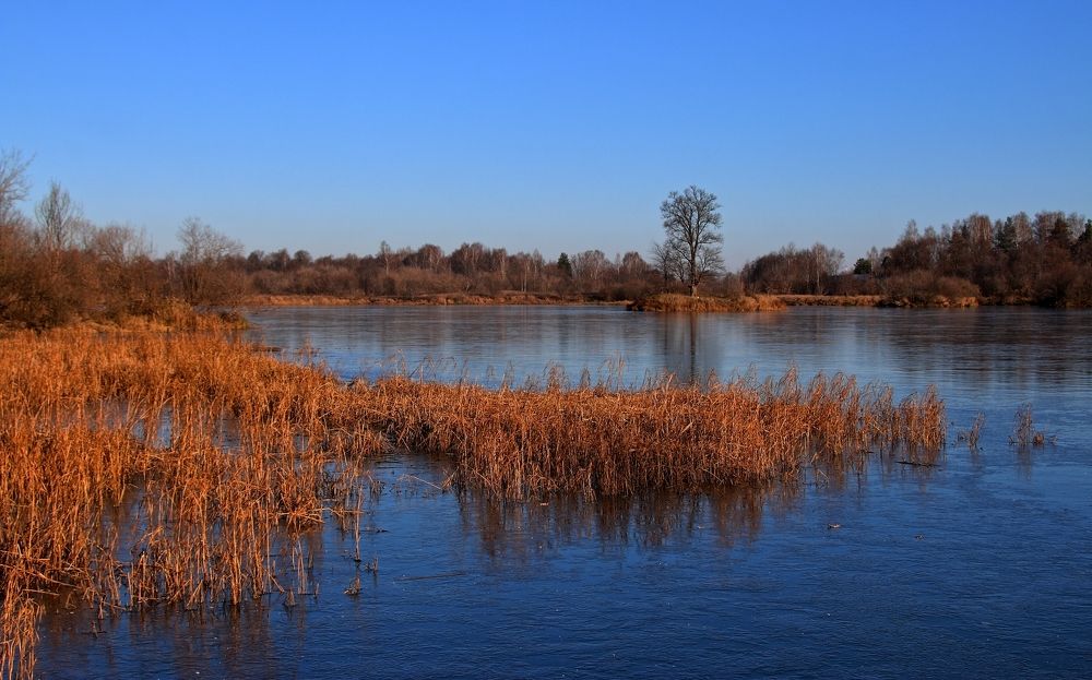Photograph by Алексей Федулов