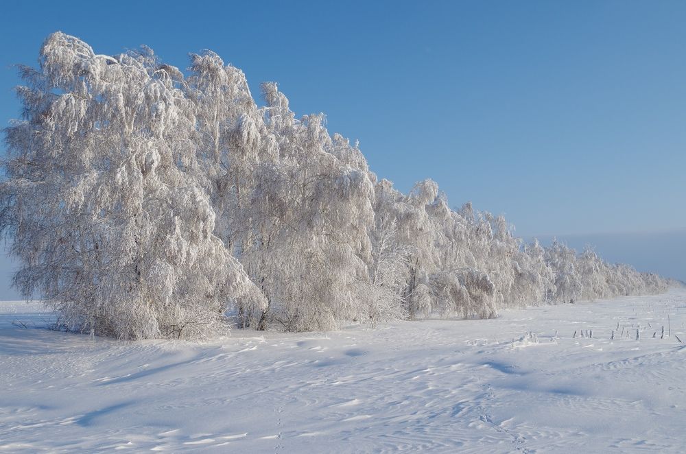 Photograph by Рушания Мышева(Валеева)